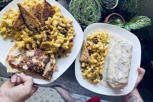 Best Vegan Eats Downtown Nashville | Guide & Tips | Discover Delicious Vegan Food, Beauty Swaps, and Zero-Waste Tips for a Greener Life