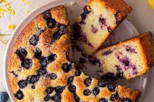 Easy Vegan Blueberry Lemon Cake: Delightful & Simple! | Discover Delicious Vegan Food, Beauty Swaps, and Zero-Waste Tips for a Greener Life