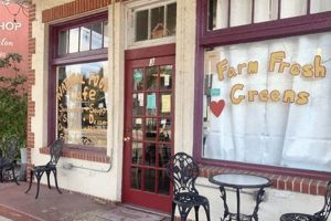 Best Vegan Restaurants in Gainesville, GA: Local Guide Discover Delicious Vegan Food, Beauty Swaps, and Zero-Waste Tips for a Greener Life Best Vegan Restaurants in Gainesville, GA: Local Guide | Discover Delicious Vegan Food, Beauty Swaps, and Zero-Waste Tips for a Greener Life