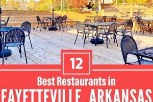 Best Vegan Restaurants in Fayetteville, AR: Your Guide! Discover Delicious Vegan Food, Beauty Swaps, and Zero-Waste Tips for a Greener Life Best Vegan Restaurants in Fayetteville, AR: Your Guide! | Discover Delicious Vegan Food, Beauty Swaps, and Zero-Waste Tips for a Greener Life
