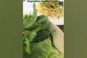 Miami's Best Raw Vegan Restaurant: A Guide & More | Discover Delicious Vegan Food, Beauty Swaps, and Zero-Waste Tips for a Greener Life