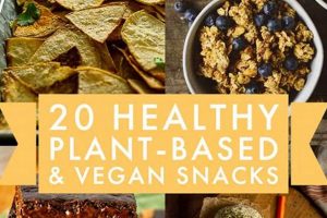 Quick & Easy Healthy Vegan Snack Recipes: Bites of Bliss | Discover Delicious Vegan Food, Beauty Swaps, and Zero-Waste Tips for a Greener Life