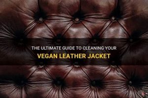Vegan Guide: How to Clean a Vegan Leather Jacket + Tips Discover Delicious Vegan Food, Beauty Swaps, and Zero-Waste Tips for a Greener Life Vegan Guide: How to Clean a Vegan Leather Jacket + Tips | Discover Delicious Vegan Food, Beauty Swaps, and Zero-Waste Tips for a Greener Life