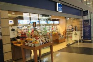 Guide to Vegan Food at O'Hare Airport (ORD) Delicious! | Discover Delicious Vegan Food, Beauty Swaps, and Zero-Waste Tips for a Greener Life