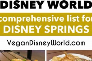 Best Vegan Options at Disney Springs: A Guide! | Discover Delicious Vegan Food, Beauty Swaps, and Zero-Waste Tips for a Greener Life