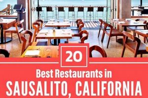 Guide to Sausalito Vegan Restaurants: Delicious &amp; Ethical! | Discover Delicious Vegan Food, Beauty Swaps, and Zero-Waste Tips for a Greener Life