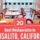 Guide to Sausalito Vegan Restaurants: Delicious &amp; Ethical! | Discover Delicious Vegan Food, Beauty Swaps, and Zero-Waste Tips for a Greener Life
