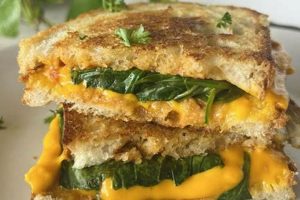 The Ultimate Best Vegan Grilled Cheese: Tips & Tricks Discover Delicious Vegan Food, Beauty Swaps, and Zero-Waste Tips for a Greener Life The Ultimate Best Vegan Grilled Cheese: Tips & Tricks | Discover Delicious Vegan Food, Beauty Swaps, and Zero-Waste Tips for a Greener Life