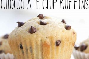 Easy Vegan Chocolate Chip Muffin Recipe [DELICIOUS!] | Discover Delicious Vegan Food, Beauty Swaps, and Zero-Waste Tips for a Greener Life