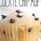 Easy Vegan Chocolate Chip Muffin Recipe [DELICIOUS!] | Discover Delicious Vegan Food, Beauty Swaps, and Zero-Waste Tips for a Greener Life