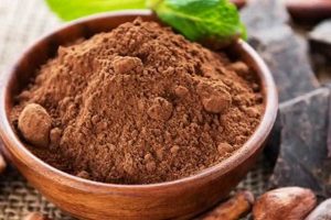 Vegan Guide: Is Cocoa Vegan? + Best Choices | Discover Delicious Vegan Food, Beauty Swaps, and Zero-Waste Tips for a Greener Life