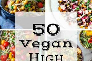 Fuel Your Muscles: High Protein Vegan Salads Recipes & Tips | Discover Delicious Vegan Food, Beauty Swaps, and Zero-Waste Tips for a Greener Life
