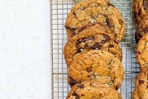Easy Vegan Sourdough Discard Cookies Recipe + Tips Discover Delicious Vegan Food, Beauty Swaps, and Zero-Waste Tips for a Greener Life Easy Vegan Sourdough Discard Cookies Recipe + Tips | Discover Delicious Vegan Food, Beauty Swaps, and Zero-Waste Tips for a Greener Life
