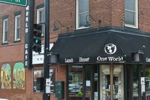 Peoria's Best Vegan Restaurants: Guide & More IL Discover Delicious Vegan Food, Beauty Swaps, and Zero-Waste Tips for a Greener Life Peoria's Best Vegan Restaurants: Guide & More IL | Discover Delicious Vegan Food, Beauty Swaps, and Zero-Waste Tips for a Greener Life