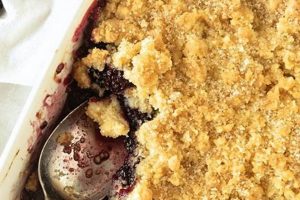 Easy Vegan Blackberry Recipes: Delicious & Healthy! | Discover Delicious Vegan Food, Beauty Swaps, and Zero-Waste Tips for a Greener Life