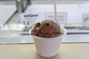 Best Vegan Ice Cream in Berkeley, CA: Cool Treats! Discover Delicious Vegan Food, Beauty Swaps, and Zero-Waste Tips for a Greener Life Best Vegan Ice Cream in Berkeley, CA: Cool Treats! | Discover Delicious Vegan Food, Beauty Swaps, and Zero-Waste Tips for a Greener Life
