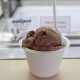 Best Vegan Ice Cream in Berkeley, CA: Cool Treats! | Discover Delicious Vegan Food, Beauty Swaps, and Zero-Waste Tips for a Greener Life