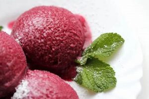 Rochester's Coolest Vegan Ice Cream [NY Guide] | Discover Delicious Vegan Food, Beauty Swaps, and Zero-Waste Tips for a Greener Life