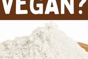 Vegan Guide: Is Xanthan Gum Vegan? + Uses! | Discover Delicious Vegan Food, Beauty Swaps, and Zero-Waste Tips for a Greener Life