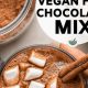 Best Vegan Hot Chocolate Mix: Dairy-Free Bliss! | Discover Delicious Vegan Food, Beauty Swaps, and Zero-Waste Tips for a Greener Life