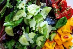 Top Best Vegan Restaurants in Jersey City: Guide Discover Delicious Vegan Food, Beauty Swaps, and Zero-Waste Tips for a Greener Life Top Best Vegan Restaurants in Jersey City: Guide | Discover Delicious Vegan Food, Beauty Swaps, and Zero-Waste Tips for a Greener Life