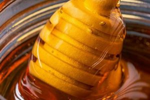 The Buzz on Vegan Honey: Sweet Alternatives & More | Discover Delicious Vegan Food, Beauty Swaps, and Zero-Waste Tips for a Greener Life