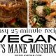 The Best Vegan Lion's Mane Mushroom Recipes: Delicious & Easy | Discover Delicious Vegan Food, Beauty Swaps, and Zero-Waste Tips for a Greener Life
