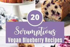 Easy Vegan Blueberry Recipes: Sweet & Healthy! | Discover Delicious Vegan Food, Beauty Swaps, and Zero-Waste Tips for a Greener Life