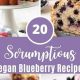 Easy Vegan Blueberry Recipes: Sweet & Healthy! | Discover Delicious Vegan Food, Beauty Swaps, and Zero-Waste Tips for a Greener Life
