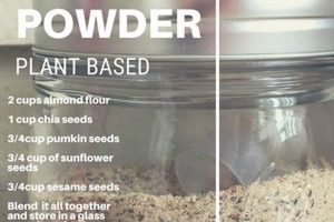 Boost Protein: Vegan Protein Powder DIY Recipes + Tips | Discover Delicious Vegan Food, Beauty Swaps, and Zero-Waste Tips for a Greener Life