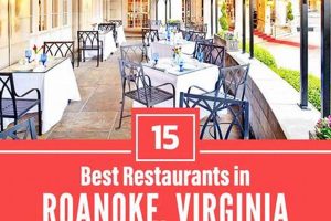 Your Guide to Best Vegan Restaurants in Roanoke, VA Discover Delicious Vegan Food, Beauty Swaps, and Zero-Waste Tips for a Greener Life Your Guide to Best Vegan Restaurants in Roanoke, VA | Discover Delicious Vegan Food, Beauty Swaps, and Zero-Waste Tips for a Greener Life
