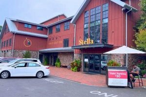 Best Vegan Restaurants in New Hope PA: Your Guide | Discover Delicious Vegan Food, Beauty Swaps, and Zero-Waste Tips for a Greener Life