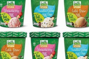 Delicious Earth Grown Vegan Ice Cream: Guilt-Free Treat! | Discover Delicious Vegan Food, Beauty Swaps, and Zero-Waste Tips for a Greener Life