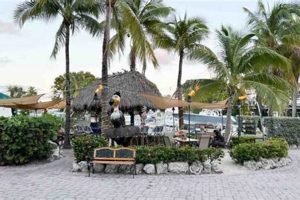 Find Vegan Restaurants in Key Largo: Your Plant-Based Guide | Discover Delicious Vegan Food, Beauty Swaps, and Zero-Waste Tips for a Greener Life