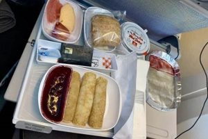 Flying Vegan: Emirates Airlines Vegan Meal Guide | Discover Delicious Vegan Food, Beauty Swaps, and Zero-Waste Tips for a Greener Life