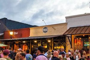 Best Vegan Restaurants Roswell GA: Your Guide! | Discover Delicious Vegan Food, Beauty Swaps, and Zero-Waste Tips for a Greener Life