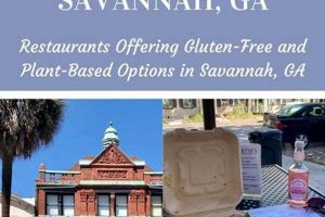Guide to Vegan Restaurants in Savannah, GA (Plus Tips!) | Discover Delicious Vegan Food, Beauty Swaps, and Zero-Waste Tips for a Greener Life