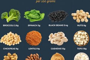 Boost Your Vegan Protein Meal Plan: Simple Guide | Discover Delicious Vegan Food, Beauty Swaps, and Zero-Waste Tips for a Greener Life