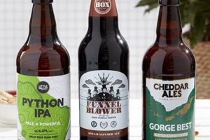 Is Vegan Beer Real? The Ultimate Vegan & Beer Guide | Discover Delicious Vegan Food, Beauty Swaps, and Zero-Waste Tips for a Greener Life