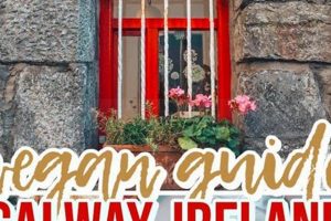 Your Guide: Best Vegan Restaurants in Ireland [Year] | Discover Delicious Vegan Food, Beauty Swaps, and Zero-Waste Tips for a Greener Life
