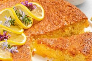 The Best Vegan Almond Meal Cake Recipe (Easy!) | Discover Delicious Vegan Food, Beauty Swaps, and Zero-Waste Tips for a Greener Life