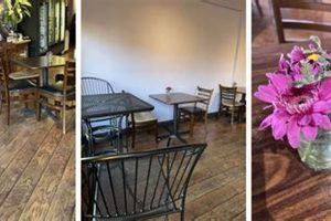 Best Vegan Restaurants in Auburn: Your Local Guide Discover Delicious Vegan Food, Beauty Swaps, and Zero-Waste Tips for a Greener Life Best Vegan Restaurants in Auburn: Your Local Guide | Discover Delicious Vegan Food, Beauty Swaps, and Zero-Waste Tips for a Greener Life