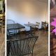 Best Vegan Restaurants in Auburn: Your Local Guide | Discover Delicious Vegan Food, Beauty Swaps, and Zero-Waste Tips for a Greener Life