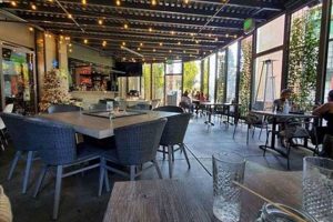 Your Guide to Vegan Restaurants in Chula Vista Delicious & Healthy | Discover Delicious Vegan Food, Beauty Swaps, and Zero-Waste Tips for a Greener Life