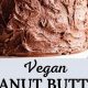 Best Vegan Chocolate Peanut Butter Cake Recipe (Easy!) | Discover Delicious Vegan Food, Beauty Swaps, and Zero-Waste Tips for a Greener Life