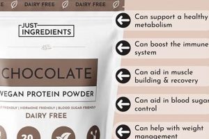 Fuel Your Gains: Best Vegan Chocolate Protein Power! | Discover Delicious Vegan Food, Beauty Swaps, and Zero-Waste Tips for a Greener Life