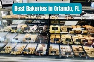 Best Vegan Bakery Orlando FL: Treats & Sweets! | Discover Delicious Vegan Food, Beauty Swaps, and Zero-Waste Tips for a Greener Life
