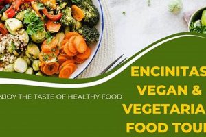Best Encinitas Vegan Food: Your Guide + More! | Discover Delicious Vegan Food, Beauty Swaps, and Zero-Waste Tips for a Greener Life