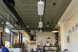 Your Guide: Parlor City Vegan Menu &amp; More! | Discover Delicious Vegan Food, Beauty Swaps, and Zero-Waste Tips for a Greener Life