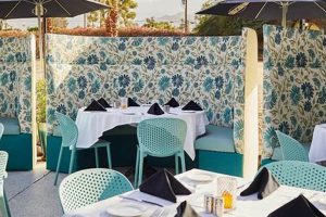 Your Guide: Vegan Restaurants in Palm Desert & Beyond | Discover Delicious Vegan Food, Beauty Swaps, and Zero-Waste Tips for a Greener Life